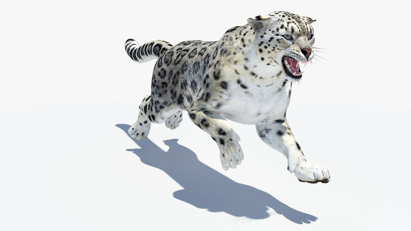 Animated Snow Leopard 3D Model
