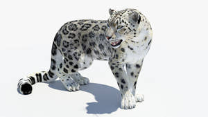 Animated Snow Leopard 3D Model Thumbnail