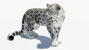 Animated Snow Leopard 3D Model Thumbnail