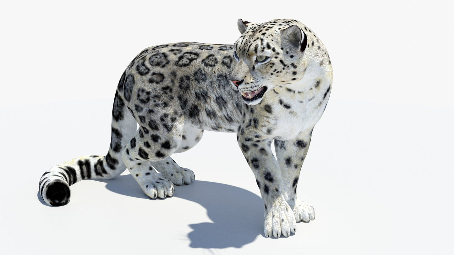 Animated Snow Leopard 3D Model