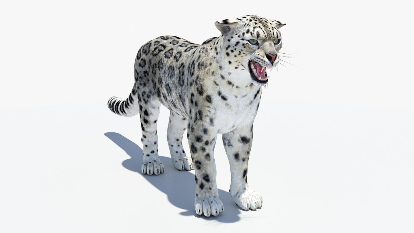 Animated Snow Leopard 3D Model