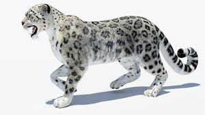 Animated Snow Leopard 3D Model Thumbnail