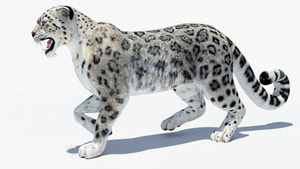Animated Snow Leopard 3D Model Thumbnail