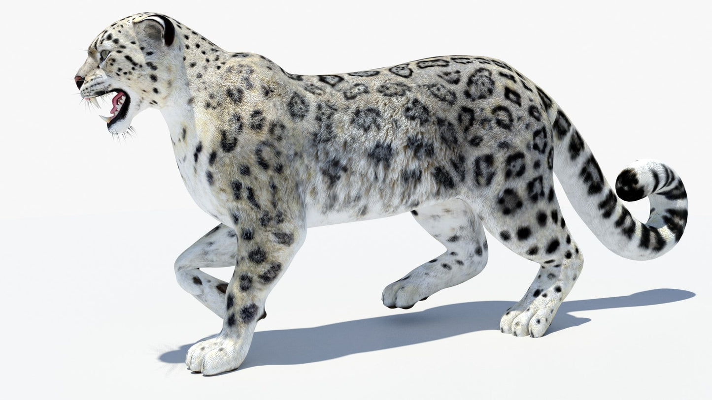 Animated Snow Leopard 3D Model