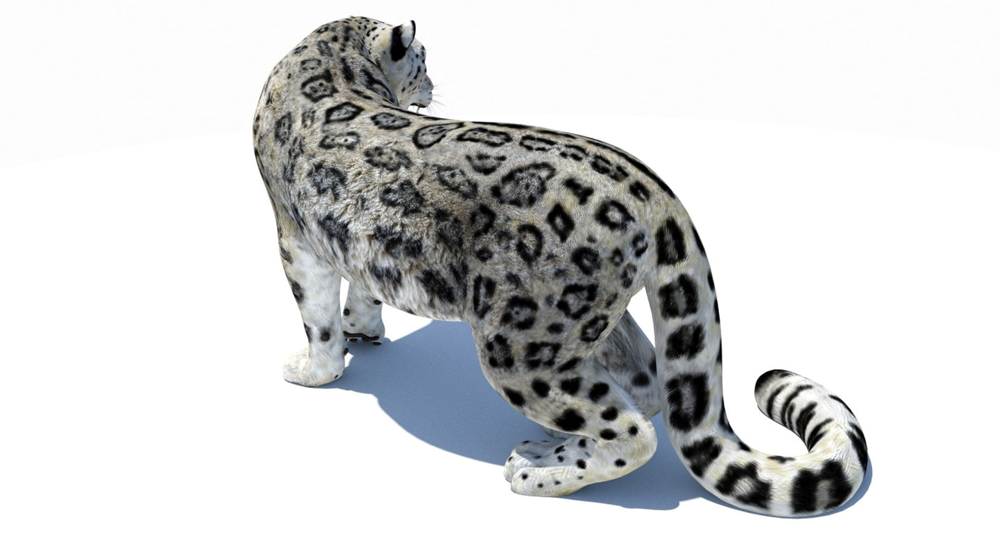 Animated Snow Leopard 3D Model