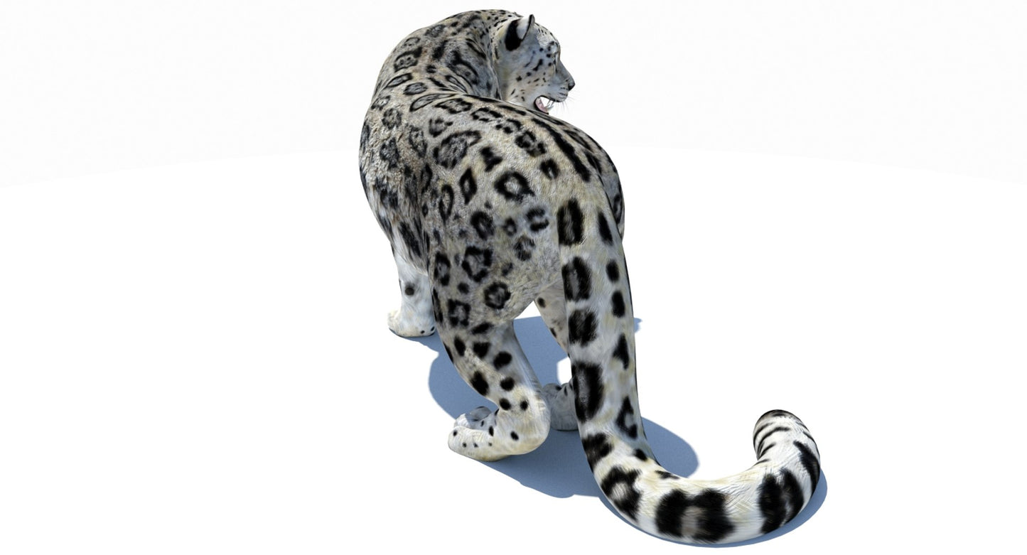 Animated Snow Leopard 3D Model