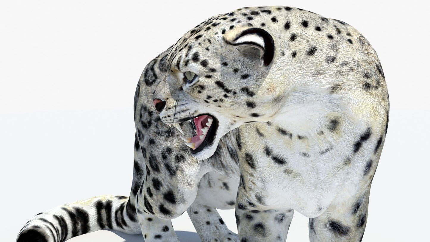 Animated Snow Leopard 3D Model