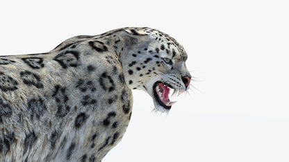 Animated Snow Leopard 3D Model