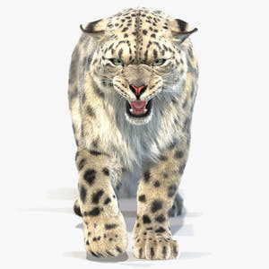 Animated Snow Leopard 3D Model with Realistic Fur Cover Thumbnail