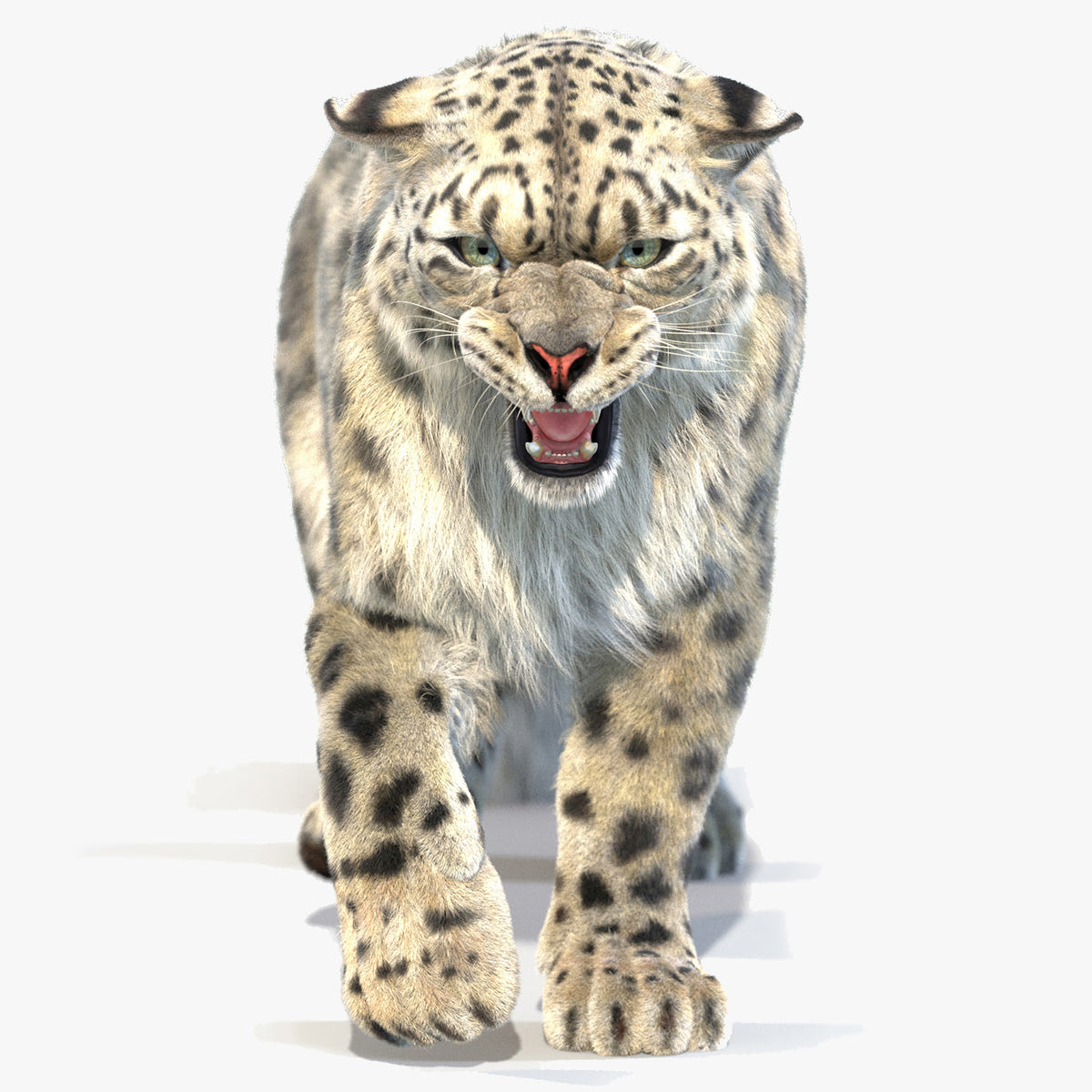 Animated Snow Leopard 3D Model with Realistic Fur Cover