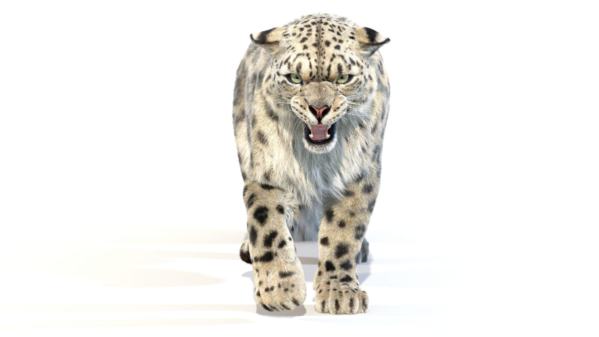 Animated Snow Leopard 3D Model with Fur