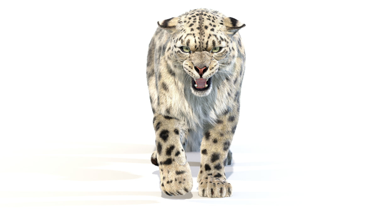 Animated Snow Leopard 3D Model with Fur