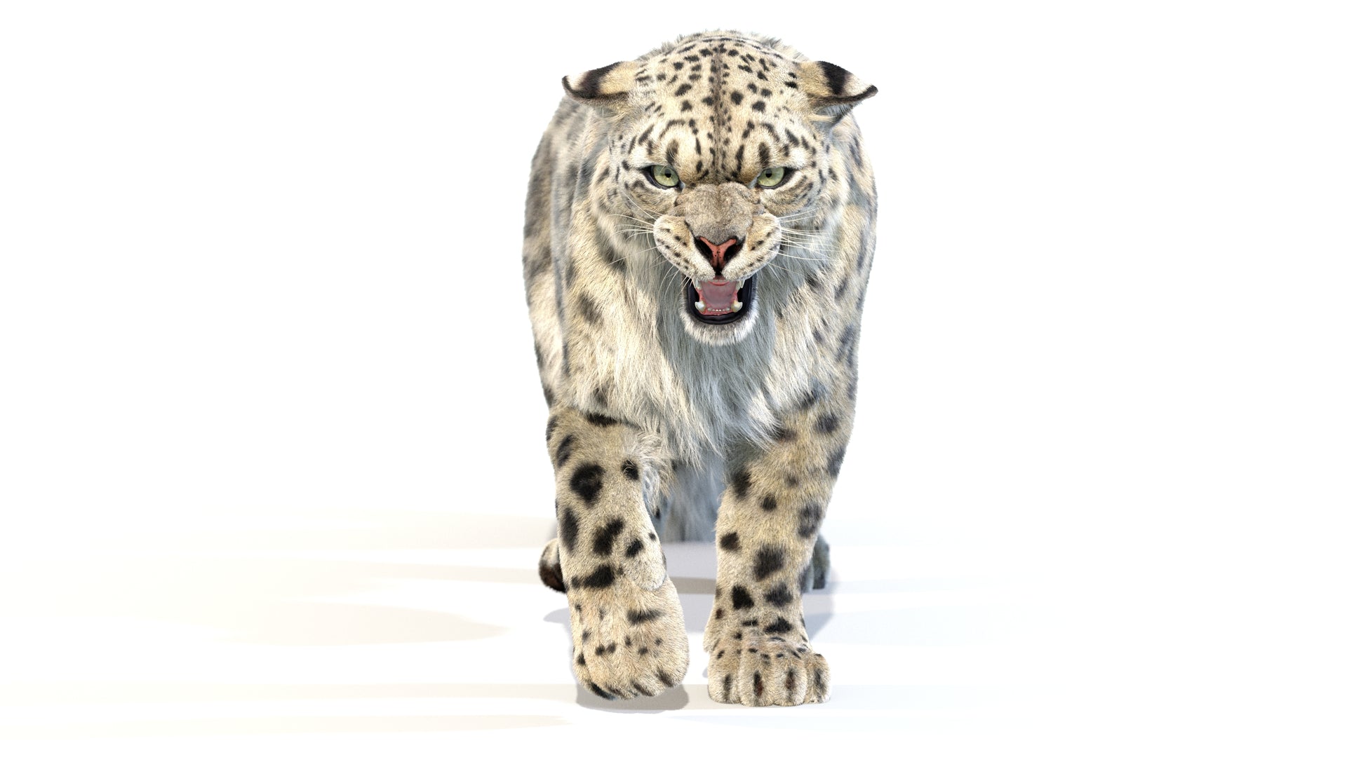 Animated Snow Leopard 3D Model with Lifelike Fur for Download