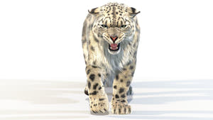 Realistic snow leopard 3D Model for VFX and CG Thumbnail