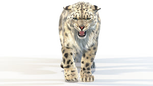 Lifelike Snow Leopard 3D Model with walking Cycle Thumbnail
