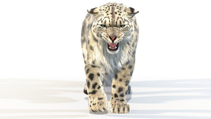 Lifelike Snow Leopard 3D Model with walking Cycle