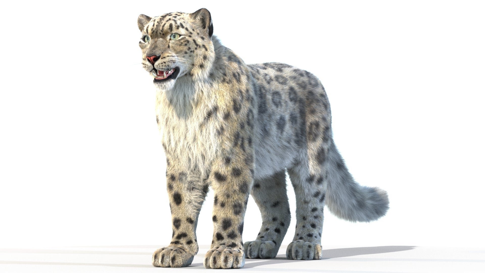 Animated Snow Leopard 3D Model with 3ds Max Hair and Fur