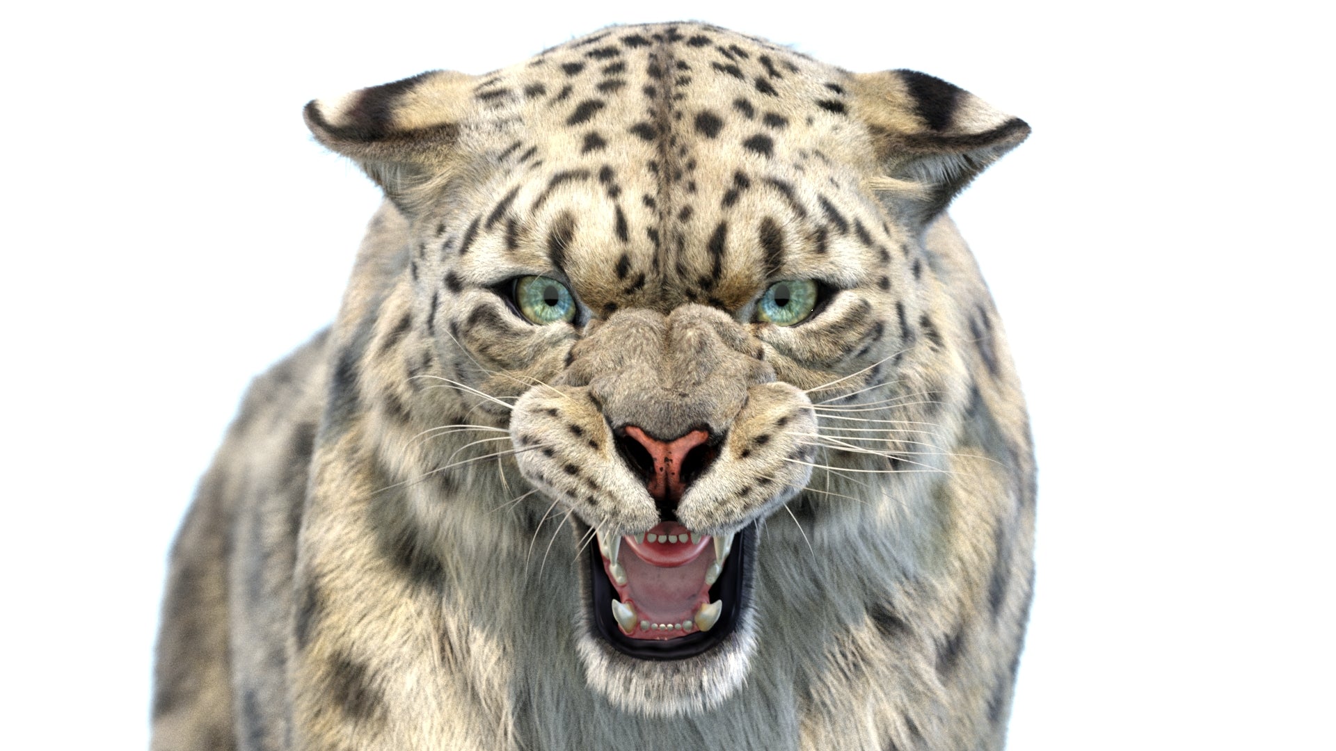 Animated Snow Leopard 3D Model with Lifelike Fur - Head Close Up