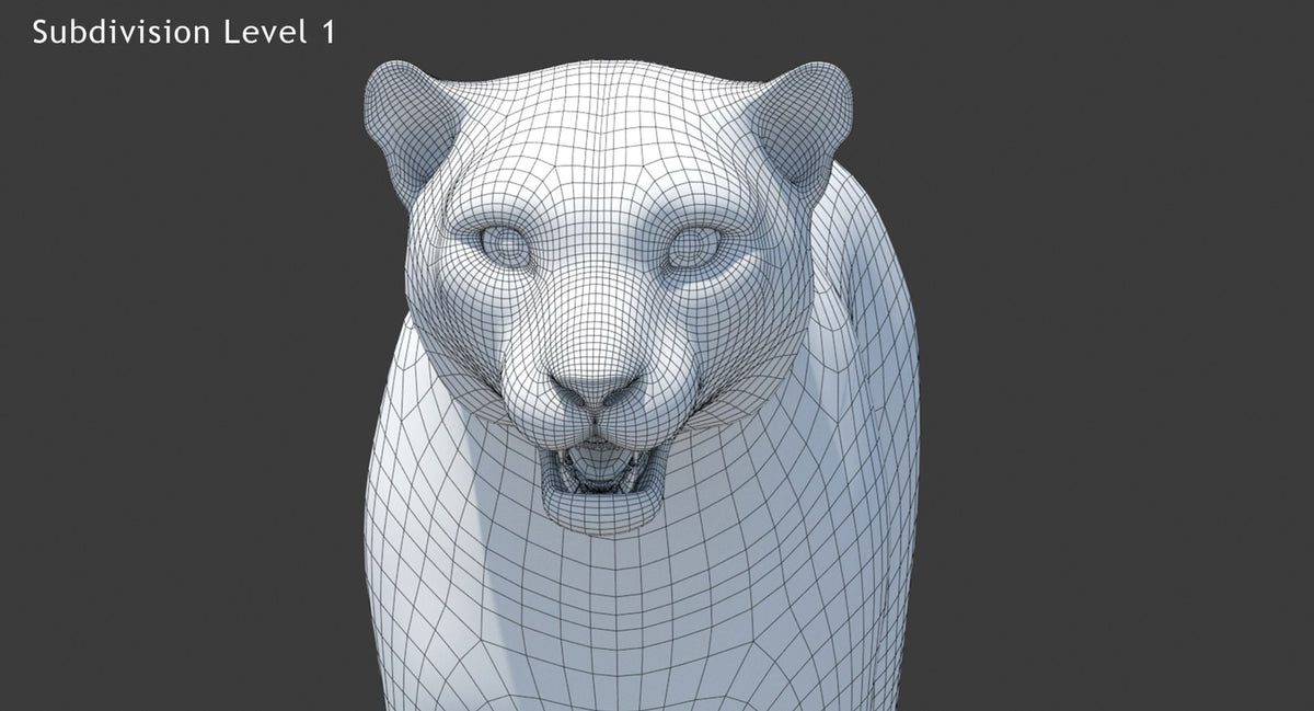 Animated Snow Leopard 3D Model - Head Close UP - Wireframe Subdivision Level 1