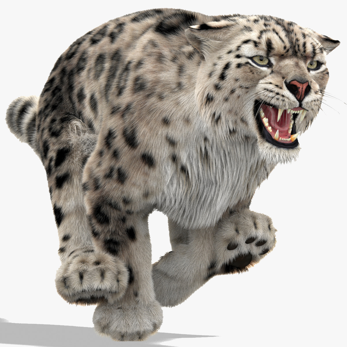 Animated Snow Leopard 3D Model with Ornatrix Fur