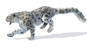 Animated Snow Leopard 3D Model with hair and fur in a running pose Thumbnail
