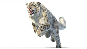 Animated Snow Leopard 3D Model with realistic fur in a jumping, attacking pose Thumbnail