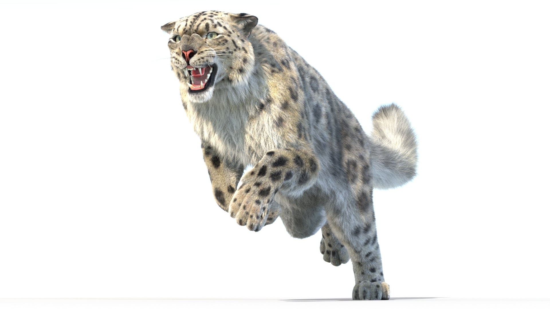 Animated Snow Leopard 3D Model with realistic fur in a jumping, attacking pose