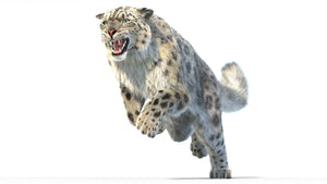 Animated Snow Leopard 3D Model with realistic fur in a jumping, attacking pose Thumbnail
