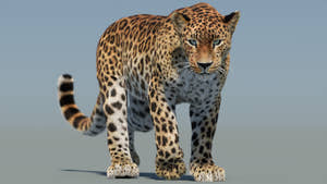 Animated Sri Lankan Leopard 3D model with realistic fur in a natural environment Thumbnail