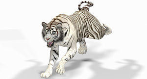 Animated White Tiger 3D Model Thumbnail