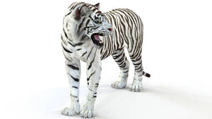 Animated White Tiger 3D Model Thumbnail