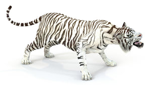 Animated White Tiger 3D Model Thumbnail