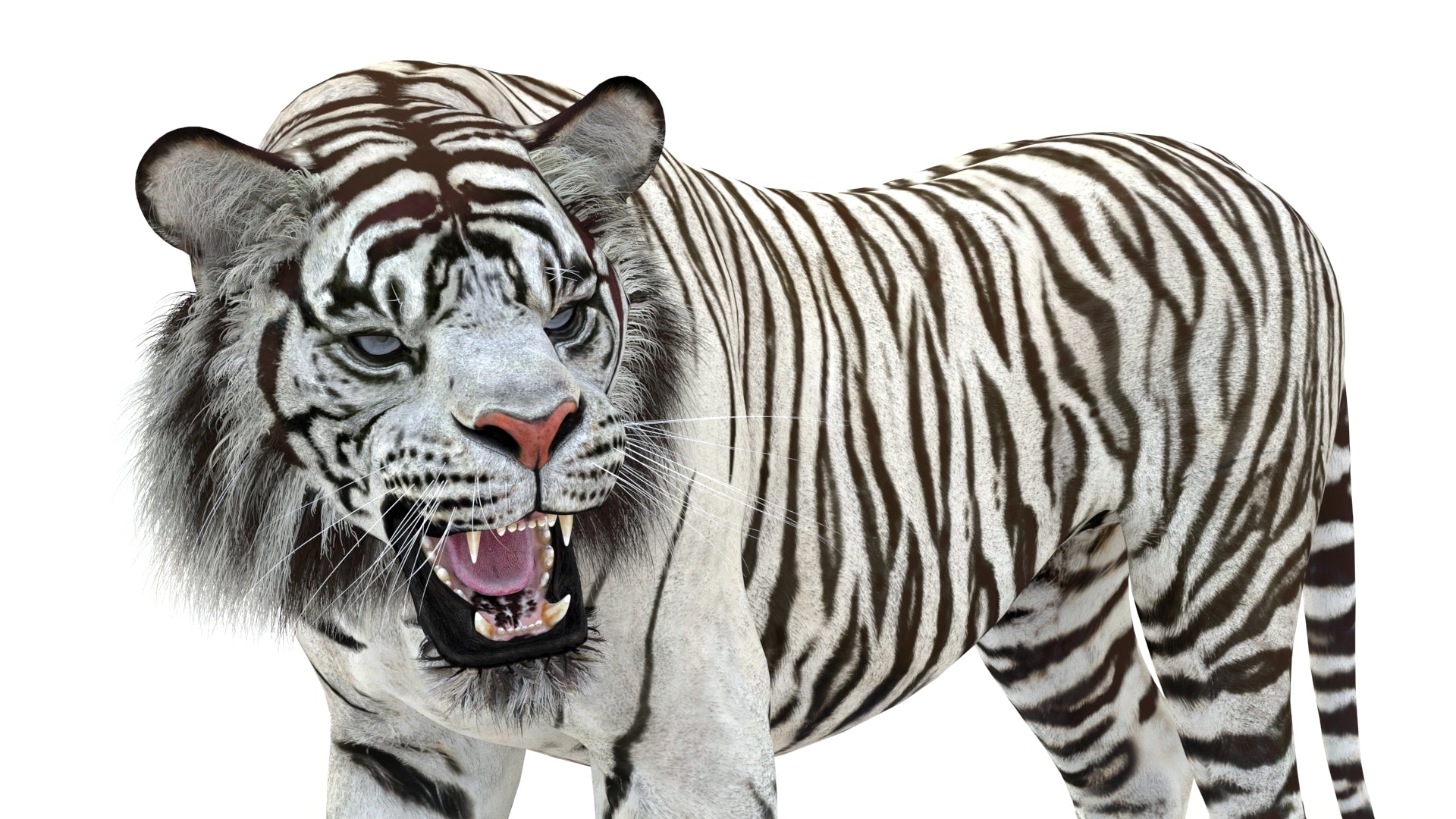 Animated White Tiger 3D Model