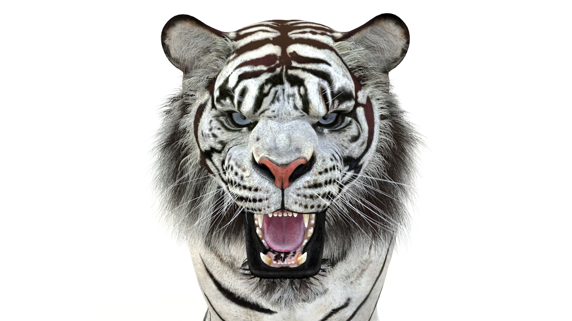 Animated White Tiger 3D Model