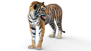 Animated Tiger 3D Model for Game Thumbnail