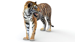 Animated Tiger 3D Model for Game Thumbnail