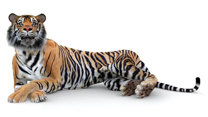 Big Cats Game-Ready 3D Model Bundle: Rigged and Animated
