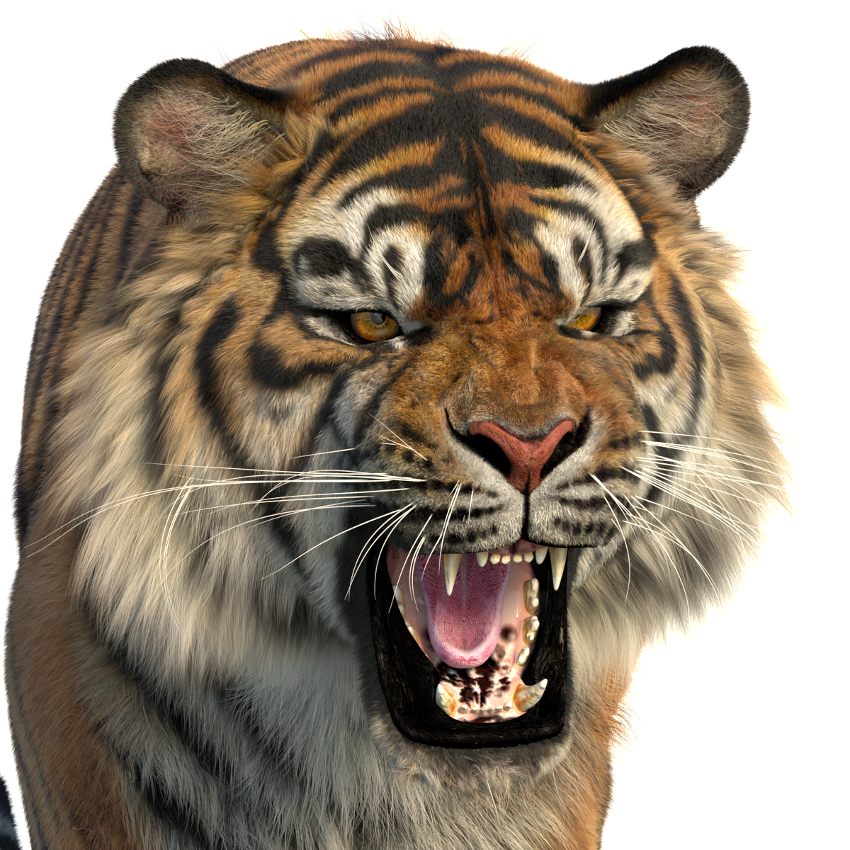 Production-Ready Animal 3D Assets