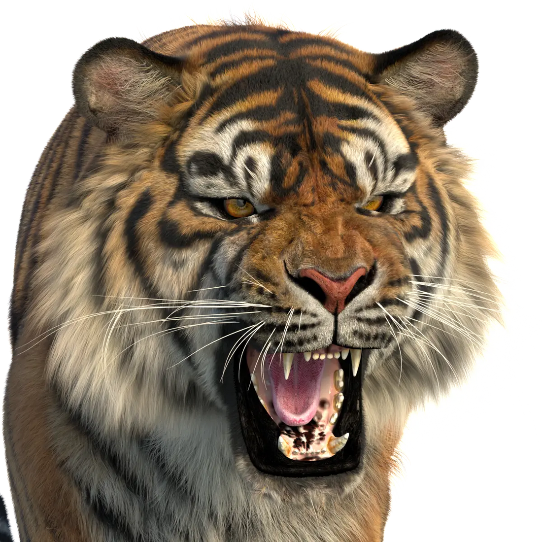 Production-Ready Animal 3D Assets