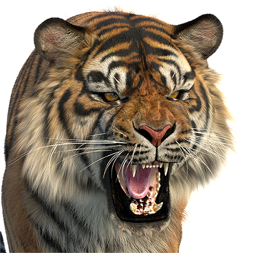 Production-Ready Animal 3D Assets