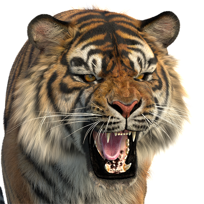 Production-Ready Animal 3D Assets