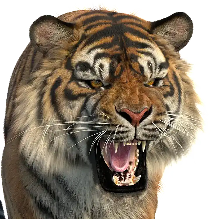 Production-Ready Animal 3D Assets