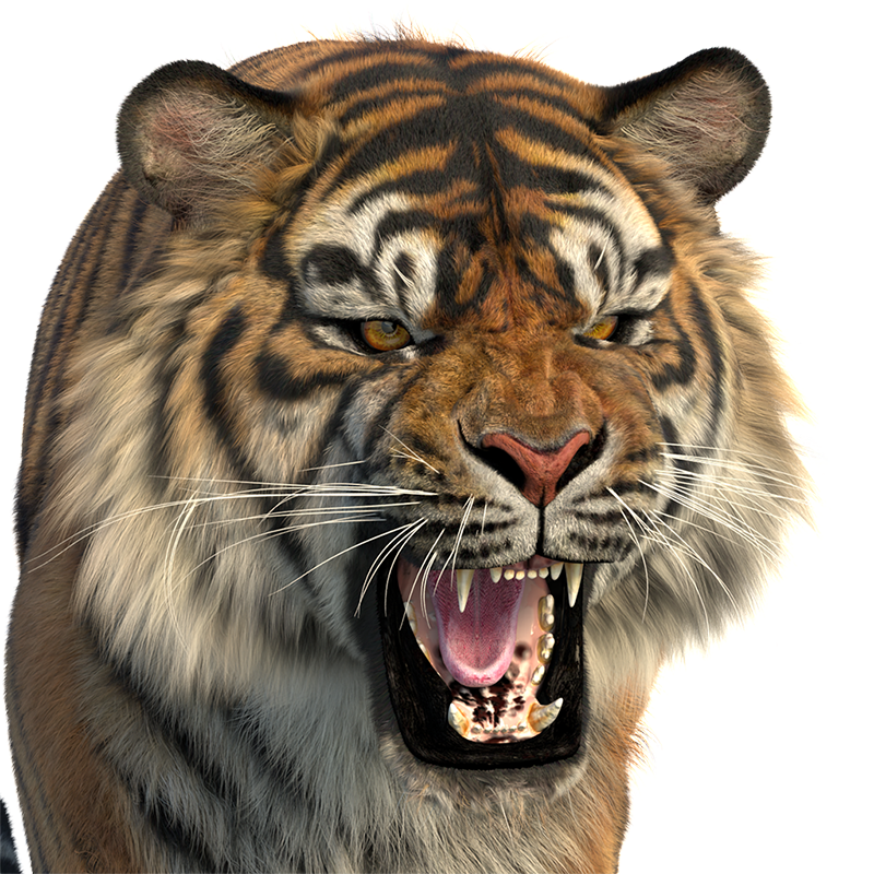 Production-Ready Animal 3D Assets