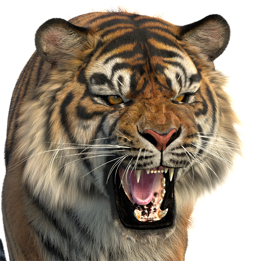 Animal 3D Model for Download