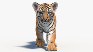 Animated Tiger Cub 3D Model Thumbnail