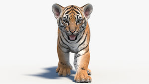 Animated Tiger Cub 3D Model Thumbnail