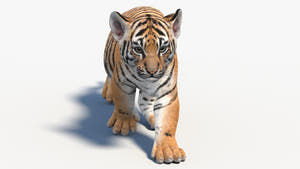 Animated Tiger Cub 3D Model - Game-Ready Thumbnail
