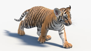 Animated Tiger Cub 3D Model Thumbnail