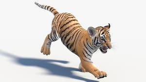 Animated Tiger Cub 3D Model Thumbnail
