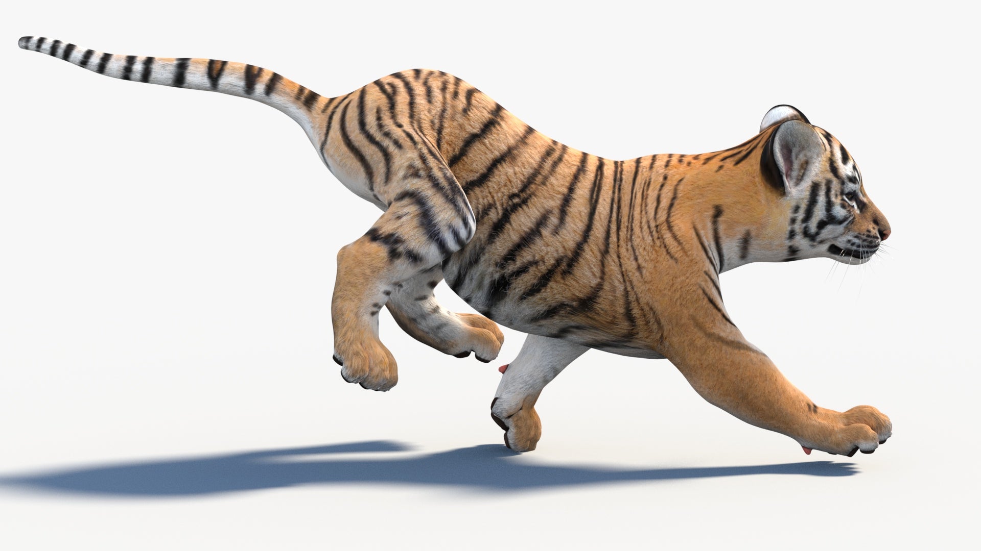 3D rendering of a tiger cub running on a white background